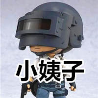 绝地求生小姨子-深度C语言编程,大佬为您护航